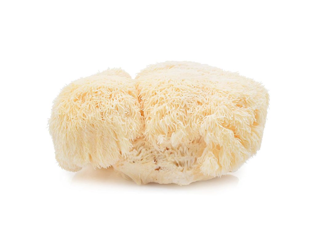 Hericium